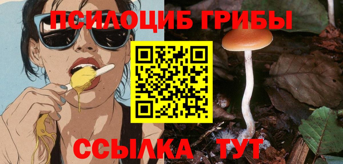Псилоцибиновые грибы ЛСД Дивногорск